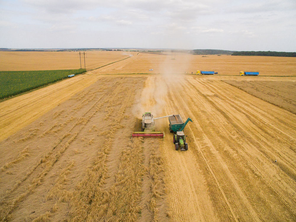 Photo depicting harvesting field